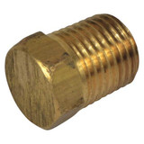 Dayton Pipe Plug,1/4 NPT PP60155G