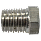 Dayton Pipe Plug SS316,1/4 Npt SS,PK2 PP60154G
