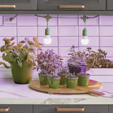 Miracle LED Kitchen Gardener 9W LED Grow Light Kit with SproutMatic Timer