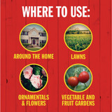 Garden Tech Sevin 1 Lb. Ready To Use Garden Dust Insect Killer 100550409 759384