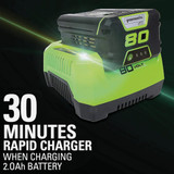 Greenworks 80V 10 In. Brushless Pole Saw with 2.0 Ah Battery & Charger 1405802 758409