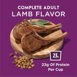 Purina Dog Chow Complete 44 Lb. Lamb Adult Dry Dog Food