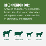 Standlee Premium Western Forage
