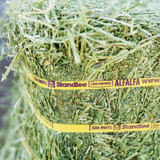 Standlee Premium Western Forage 50# Cert Grb&go Alf Bale 1100-20010-0-0 735447