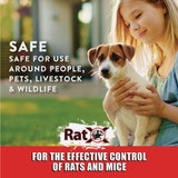 RatX Non-Toxic Ready-to-Use Bait Trays for Mice and Rats (2-Pack)