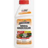 Spectracide Weed & Grass Killer2 16 Oz. Concentrate HG-66001
