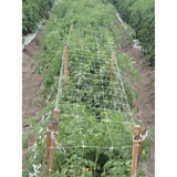 Tenax Hortanova 48 In. x 8 Ft. Polypropylene Trellis Netting 2A150057 712016