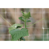 Tenax Hortanova 48 In. x 8 Ft. Polypropylene Trellis Netting 2A150057 712016