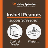Valley Splendor 3 Lb. Inshell Peanuts Wildlife Food 347 752344