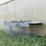 Havahart Galvanized Wire Mesh 17.75 In. 1-Door Small Live Animal Trap