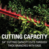 Greenworks 24V 22 In. Cordless Hedge Trimmer with 4.0 Ah USB Battery & Charger 2211202 727226