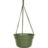 Bloem Dura Cotta 12 In. Plastic Living Green Hanging Plant Basket DCHB12-42