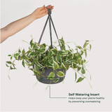 Bloem Dura Cotta 12 In. Plastic Charcoal Hanging Plant Basket