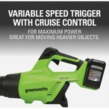 Greenworks 2x24v Brushless Blower 2419302 714826