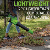 Greenworks 2x24v Brushless Blower 2419302 714826
