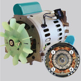 Makita