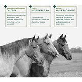 Standlee Forage Plus 40 Lb. Gastric Support Pellets Horse Feed 1175-30103-0-0 743029
