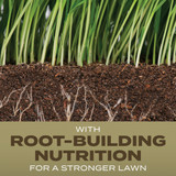 Scotts Turf Builder 2.4 Lb. 200 Sq. Ft. Southern Gold Mix for Tall Fescue Lawns Grass Seed
