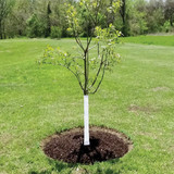 DeWitt White Polypropylene 3 In. x 50 Ft. Tree Wrap