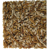 Pecking Order 20 Oz. Large Mealworm Cake