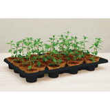 PlantBest 28-Pot Self-Watering Seed Starter Kit 3459 720393