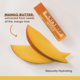 Burt's Bees 4pk Fruit Lip Balm 02578 619101