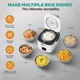 Rice Robot 1.2 Qt. Cooker 2524 630908