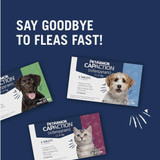 PetArmor CapAction Over 25 Lb. Dog Flea Tabs (6-Pack) 183150 716996