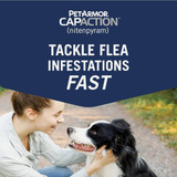 PetArmor CapAction Over 25 Lb. Dog Flea Tabs (6-Pack) 183150 716996