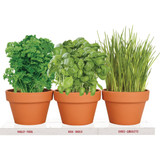 TotalGreen Holland Herb Trio Grow Kit