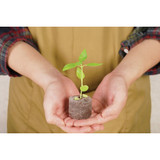 PlantBest