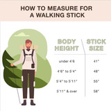 Brazos Walking Stick,Free-Form,Maple,55" 602-3000-1180