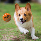 Nerf Dog