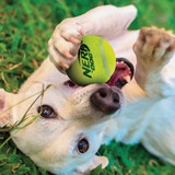 Nerf Dog 2 In. Squeak Tennis Ball (3-Pack) 5099 721961