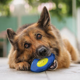 Nerf Dog 5 In. TPR EXO Micro Squeak Football 6026 728787