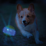 Nerf Dog