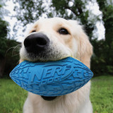 Nerf Dog