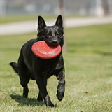 Kong Flyer Large Dog Toy