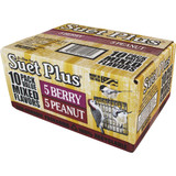 Suet Plus Berry & Peanut Suet (10-Pack) 290