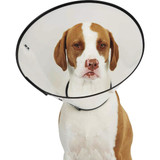 Total Pet Health Small 10 In. Clear E-Collar
