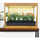 Ferry Morse Bamboo Modern Indoor LED Growhouse