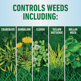 Roundup for Lawns Northern 1 Gal. Ready To Use Trigger Spray Weed Killer 5021005 742087