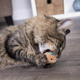 SmartyKat Chickadee Chirp Electronic Sound Catnip Cat Toy