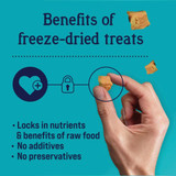Stewart 2.75 Oz. Tub Wild Salmon Dog Treat 401805 766650