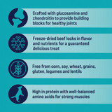 Stewart Healthy Hips 8 Oz. Freeze-Dried Beef Dog Treats 402303 716981