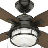 Hunter Decorative Ceiling Fan,52'' L,120VAC 59214