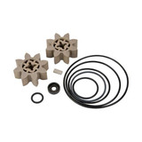 Gpi Gear Pump Overhaul Kit,Fits GPI Brand 110504-1