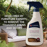Guardsman 16 Oz. Stain & Odor Eliminator 462600 642933