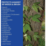 BioAdvanced Brush Killer Plus 1 Gal. Ready To Use Trigger Spray Brush Killer