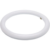 Satco 32W Equivalent 12 In. CCT-Selectable T9 Circline LED Tube Light Bulb S16511 543940